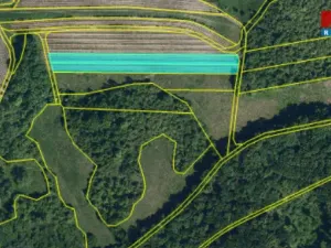 Prodej pole, Horní Věstonice, 4000 m2