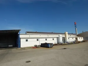 Pronájem výrobních prostor, Lišov, Hůrecká, 756 m2