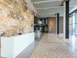 Pronájem kanceláře, Praha - Nusle, Lomnického, 44 m2