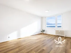 Prodej bytu 2+kk, Mladá Boleslav, Jana Palacha, 42 m2