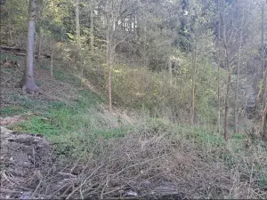 Prodej pozemku, Pohledy, 1141 m2