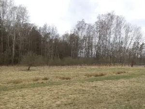 Prodej pozemku, Chlum u Třeboně - Lutová, 6727 m2