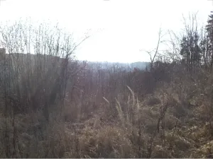 Dražba louky, Tábor, 1007 m2