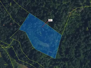 Dražba lesa, Lhota Rapotina, 4308 m2