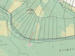Dražba lesa, Vranová Lhota, 5798 m2