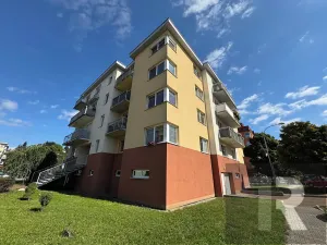 Pronájem bytu 2+kk, Plzeň, Květná, 53 m2