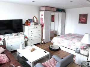 Prodej bytu 1+1, Ostrava, Dětská, 42 m2