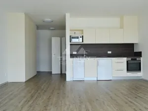 Pronájem bytu 1+kk, Plzeň, Na Roudné, 50 m2