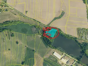 Prodej lesa, Předslav, 6263 m2