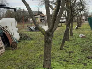 Prodej zahrady, Břeclav, Letiště, 1429 m2