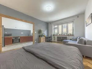 Prodej bytu 1+1, Praha - Podolí, Nedvědovo náměstí, 37 m2