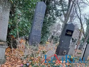 Prodej - jiné, Praha - Žižkov, Vinohradská, 3 m2