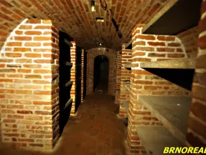 Prodej vícegeneračního domu, Staré Město pod Landštejnem, 1150 m2