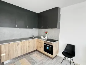 Pronájem bytu 1+kk, Pardubice, Pod Vinicí, 33 m2