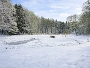 Prodej zemědělské usedlosti, Lhenice, 300 m2