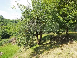 Prodej zahrady, Kralupy nad Vltavou, Lobeč, 346 m2