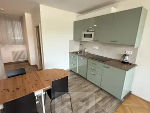 Pronájem bytu 3+1, Praha - Staré Město, Revoluční, 82 m2