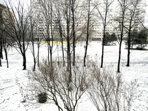 Prodej bytu 3+1, Praha - Kobylisy, Rajmonova, 70 m2