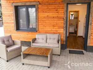 Prodej ubytování, Nová Bystřice - Albeř, 259 m2