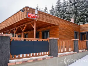 Prodej ubytování, Nová Bystřice - Albeř, 259 m2