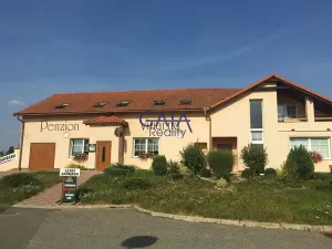 Pronájem ubytování, Veselí nad Moravou, Sadová, 170 m2