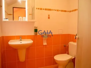 Pronájem ubytování, Veselí nad Moravou, Sadová, 170 m2