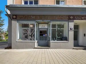 Pronájem obchodního prostoru, Holešov, U Letiště, 55 m2