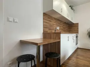 Pronájem bytu 1+kk, České Budějovice, Otakarova, 26 m2