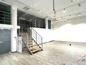 Pronájem kanceláře, Praha - Veleslavín, Na okraji, 215 m2