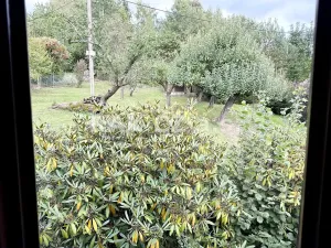 Prodej rodinného domu, Nová Paka, 130 m2