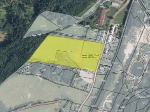 Prodej pozemku pro bydlení, Loučná nad Desnou, 36840 m2