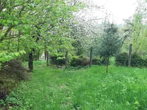 Prodej zahrady, Rohle, 1514 m2