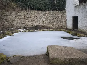 Prodej zemědělské usedlosti, Horní Planá, 200 m2