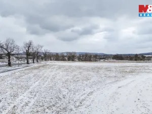 Prodej komerčního pozemku, Stará Huť, 10579 m2