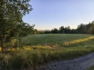 Dražba pozemku pro bydlení, Bezděz, 8540 m2