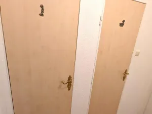 Pronájem bytu 1+1, Bílina, Alšova, 27 m2