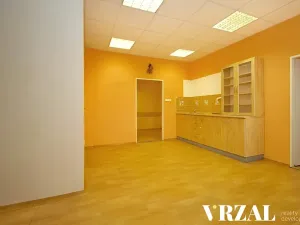 Pronájem ordinace, Plzeň, Francouzská třída, 80 m2