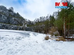 Prodej lesa, Rabí, 28273 m2