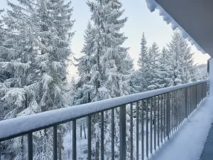 Prodej bytu 2+kk, Loučná pod Klínovcem, 31 m2