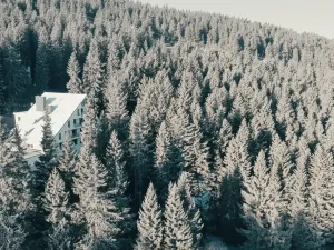 Prodej bytu 4+kk, Loučná pod Klínovcem, 94 m2