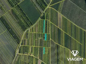 Prodej podílu pole, Moravský Žižkov, 1427 m2