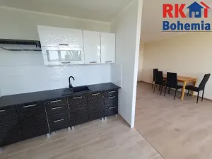 Pronájem bytu 3+1, Litvínov, Hamerská, 69 m2