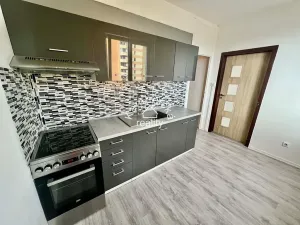 Prodej bytu 1+1, České Budějovice, V. Volfa, 41 m2