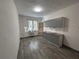 Pronájem bytu 1+kk, Třinec, Palackého, 24 m2