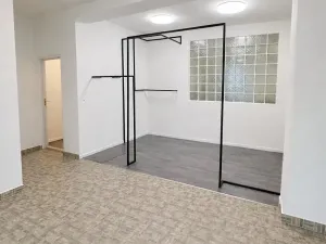 Pronájem výrobních prostor, Brno, Ječná, 189 m2