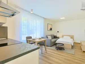 Pronájem bytu 1+kk, Brno, Bystrcká, 30 m2