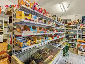 Prodej obchodního prostoru, Kostelec nad Černými lesy, Pražská, 250 m2