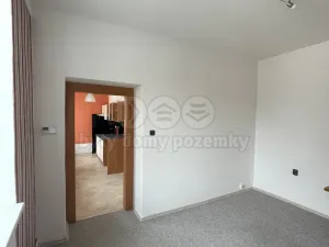 Pronájem bytu 1+1, Žatec, Příkrá, 44 m2