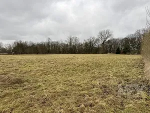 Prodej komerčního pozemku, Česká Skalice, Bezručova, 4078 m2