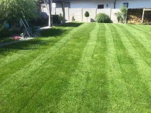 Prodej rodinného domu, Cheb, U Sídliště, 114 m2